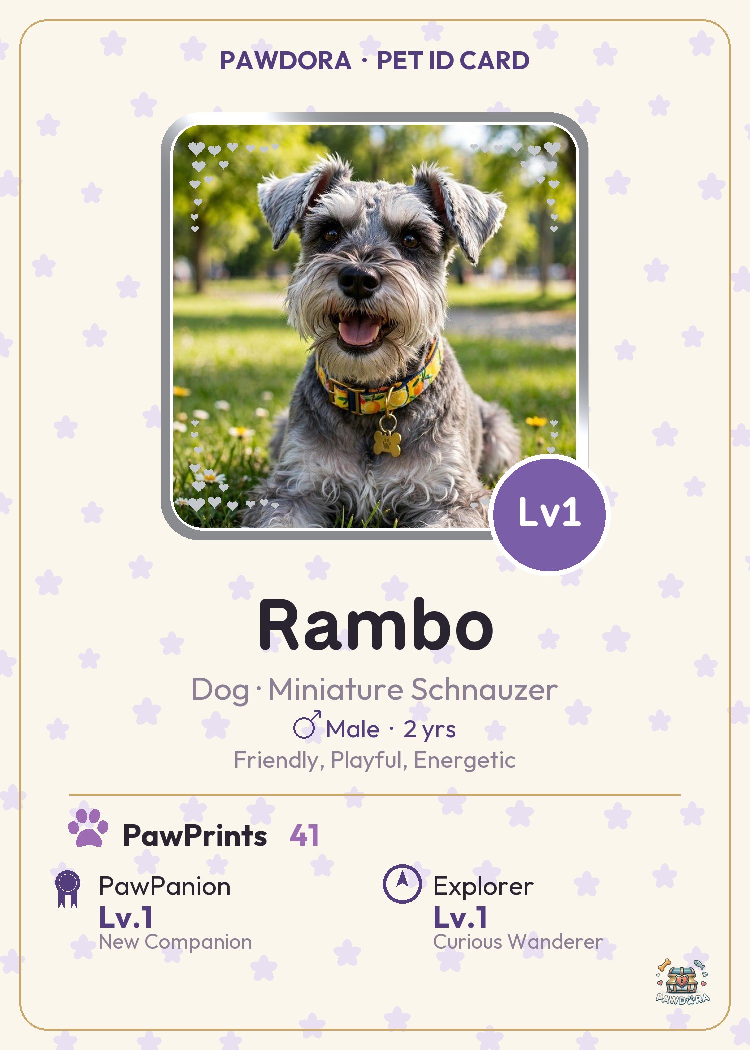 Pawdora pet identity card